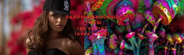 a pvp Алзамай