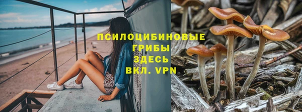 гидропоника Абинск