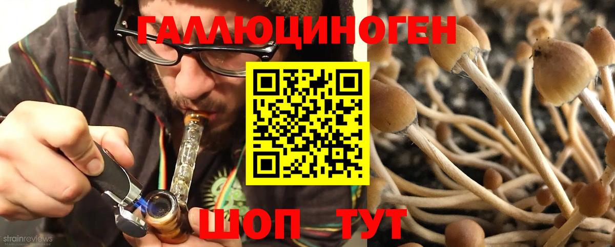 Галлюциногенные грибы мухоморы Керчь